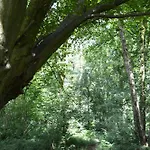 Daire Oasis Verte Kelmis