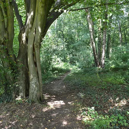 Oasis Verte Apartamento Kelmis