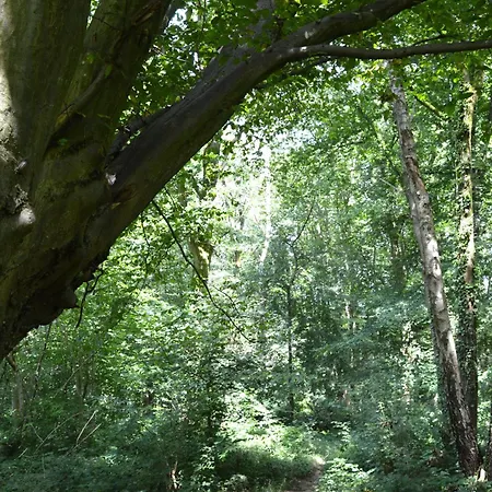 Διαμέρισμα Oasis Verte Kelmis