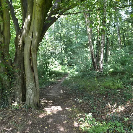 Apartamento Oasis Verte *