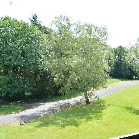 Oasis Verte *